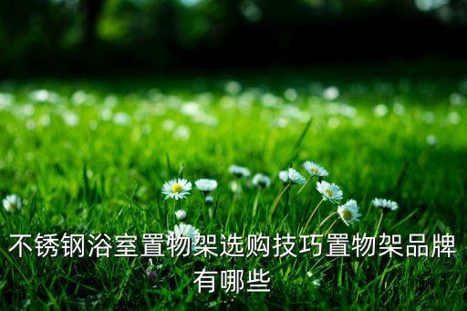 不銹鋼浴室置物架選購(gòu)技巧置物架品牌有哪些