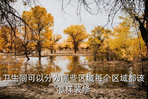 衛(wèi)生間可以分為哪些區(qū)域每個(gè)區(qū)域都該怎樣裝修