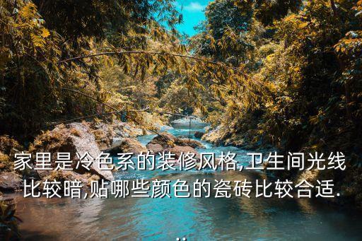 衛(wèi)浴墻磚黑白效果圖片大全