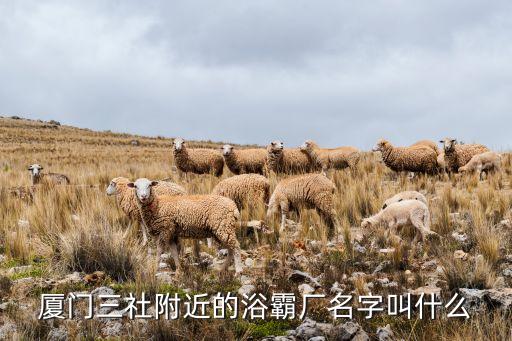 集美區(qū)衛(wèi)浴廠家電話,TOTO衛(wèi)浴廠家電話