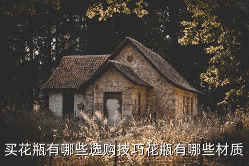 買花瓶有哪些選購技巧花瓶有哪些材質(zhì)