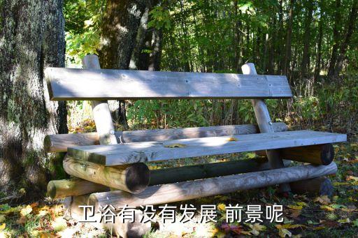  衛(wèi)浴有沒有發(fā)展 前景呢