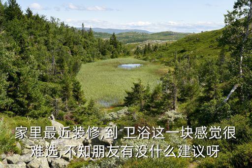 衛(wèi)浴和屏風挨著設計圖片