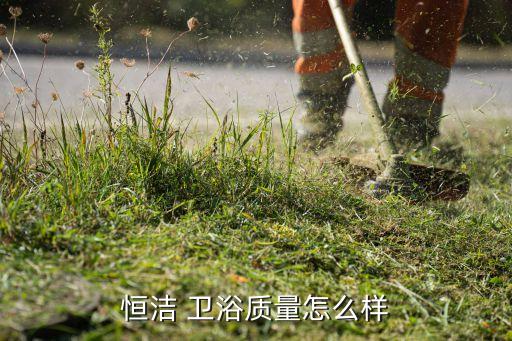 衛(wèi)浴用恒潔品牌好不好,衛(wèi)浴恒潔屬于二線品牌嗎