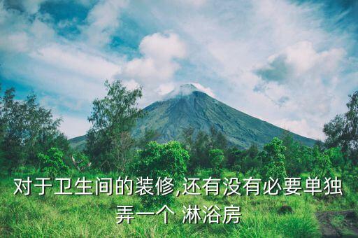 對于衛(wèi)生間的裝修,還有沒有必要單獨(dú)弄一個(gè) 淋浴房