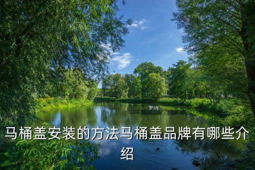 toyo衛(wèi)浴子品牌,TOYO是什么品牌的衛(wèi)浴