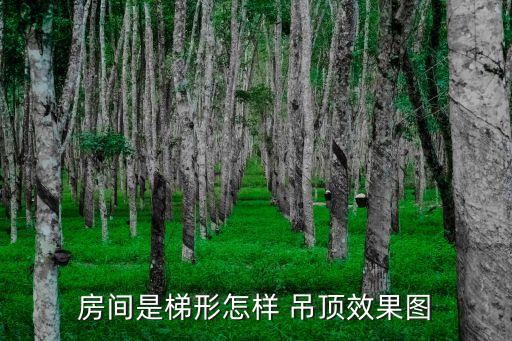 房間是梯形怎樣 吊頂效果圖