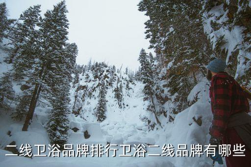 二線衛(wèi)浴品牌排行衛(wèi)浴二線品牌有哪些