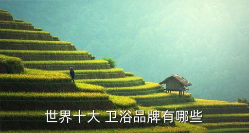 衛(wèi)浴日本收納好物桌面品牌
