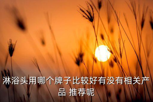 淋浴頭用哪個牌子比較好有沒有相關(guān)產(chǎn)品 推薦呢