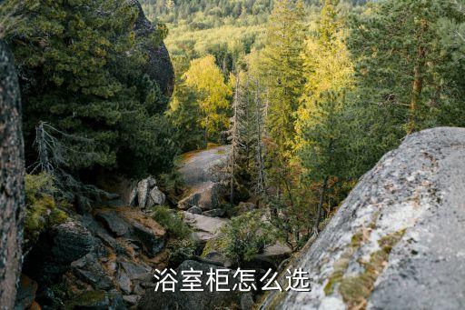 浴室柜怎么選