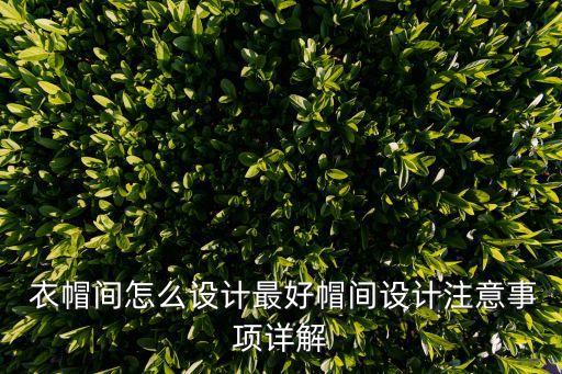 獨(dú)立衛(wèi)浴及衣帽間圖片高清