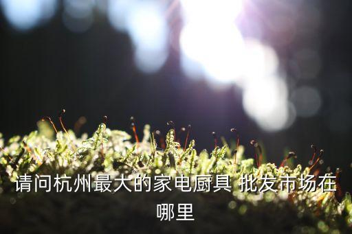 請問杭州最大的家電廚具 批發(fā)市場在哪里