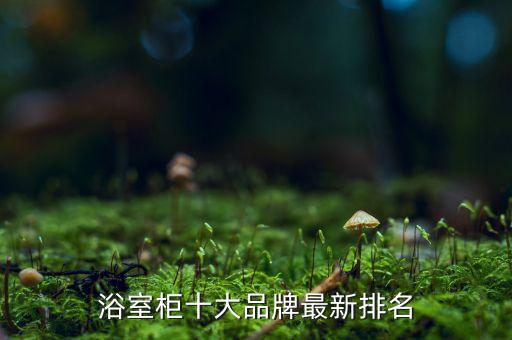 浴室柜十大品牌最新排名