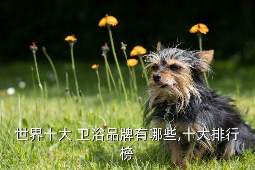 歐洲衛(wèi)浴品牌推薦女士,性價(jià)比高的衛(wèi)浴品牌推薦