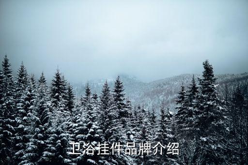 衛(wèi)浴掛件品牌介紹