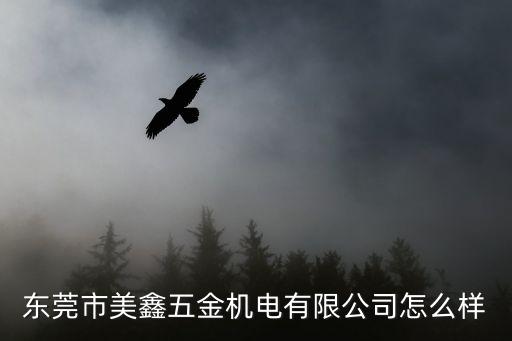 東莞市美鑫五金機(jī)電有限公司怎么樣