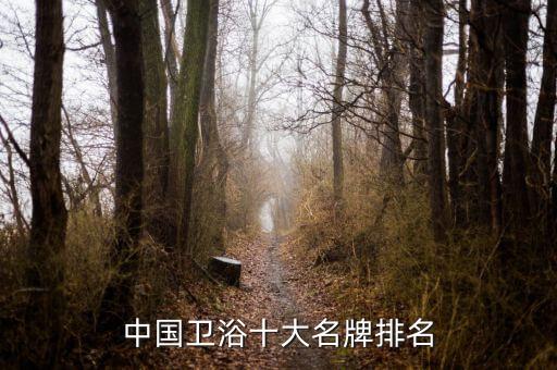 欒川浪鯨衛(wèi)浴地址,浪鯨衛(wèi)浴公司地址