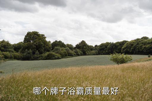 哪個(gè)牌子浴霸質(zhì)量最好