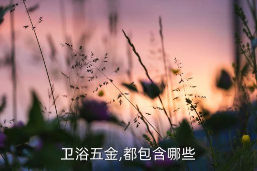 銀超衛(wèi)浴廁紙架價格及圖片