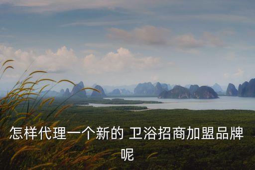 怎樣代理一個新的 衛(wèi)浴招商加盟品牌呢