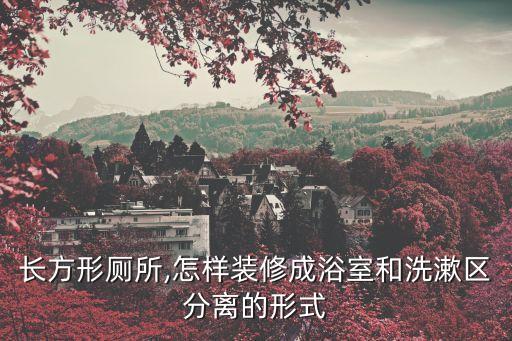 長方形廁所,怎樣裝修成浴室和洗漱區(qū)分離的形式