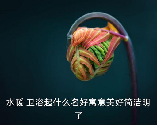 水暖 衛(wèi)浴起什么名好寓意美好簡潔明了