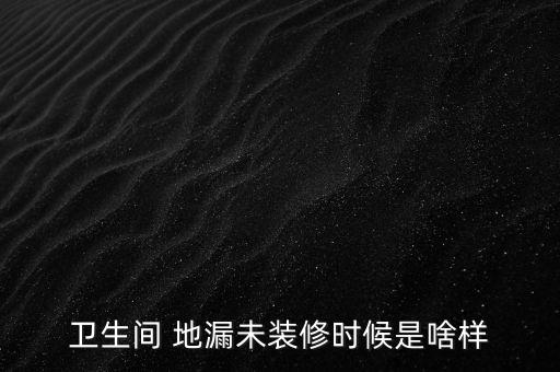 衛(wèi)生間 地漏未裝修時候是啥樣