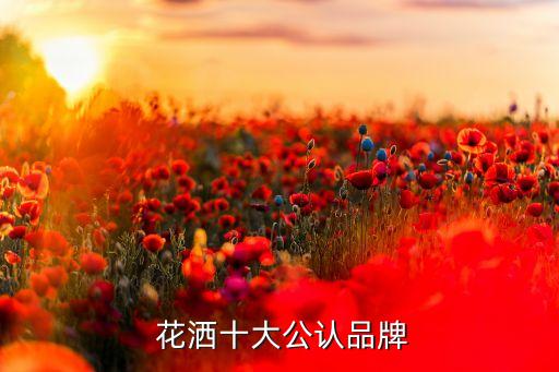  花灑十大公認(rèn)品牌