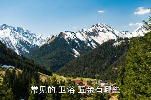 衛(wèi)浴五金種類圖片大全,五金衛(wèi)浴批發(fā)