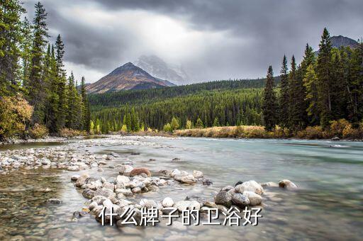 什么牌子的衛(wèi)浴好