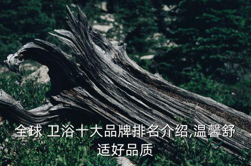 全球 衛(wèi)浴十大品牌排名介紹,溫馨舒適好品質(zhì)