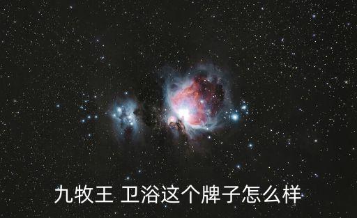 九牧王 衛(wèi)浴這個牌子怎么樣