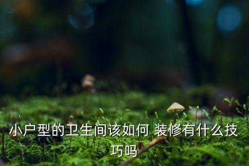 極簡衛(wèi)浴裝修視頻大全圖片