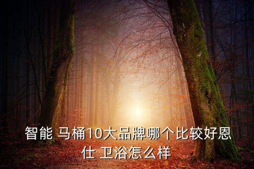  智能 馬桶10大品牌哪個比較好恩仕 衛(wèi)浴怎么樣