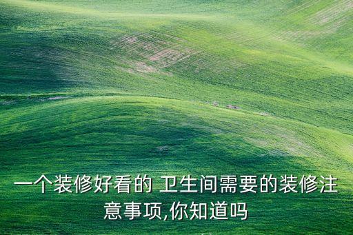 衛(wèi)浴間改衛(wèi)生間圖片大全