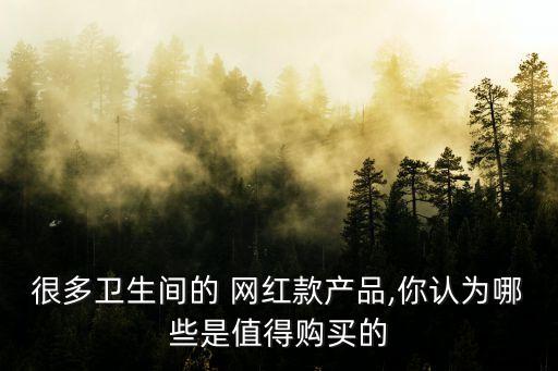 很多衛(wèi)生間的 網(wǎng)紅款產(chǎn)品,你認(rèn)為哪些是值得購買的