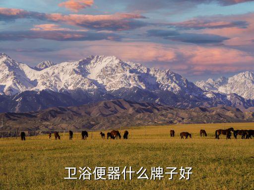  衛(wèi)浴便器什么牌子好