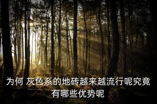 為何 灰色系的地磚越來越流行呢究竟有哪些優(yōu)勢呢