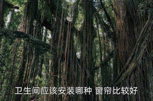 衛(wèi)浴排氣窗簾圖片大全新款