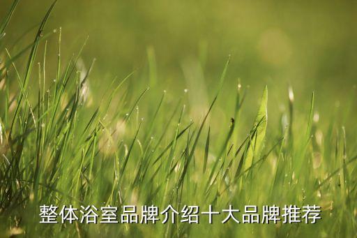 整體衛(wèi)浴怎么選好的品牌