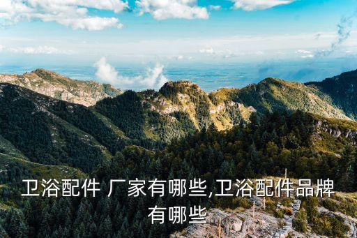 衛(wèi)浴配件 廠家有哪些,衛(wèi)浴配件品牌有哪些