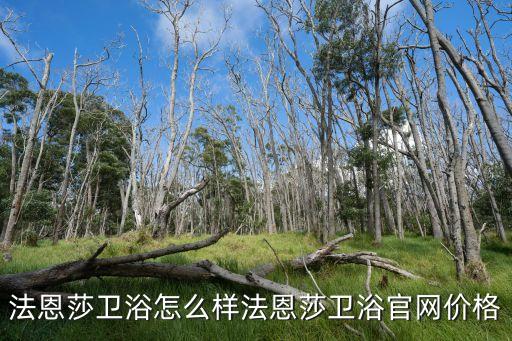 法恩莎衛(wèi)浴怎么樣法恩莎衛(wèi)浴官網(wǎng)價(jià)格