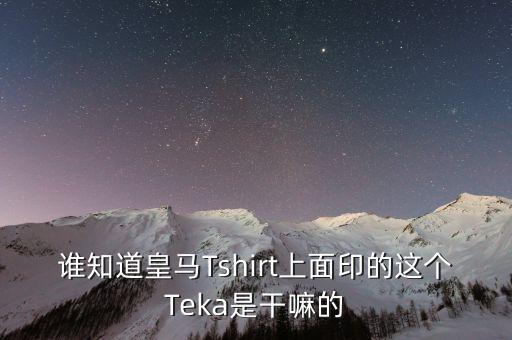 誰知道皇馬Tshirt上面印的這個(gè)Teka是干嘛的