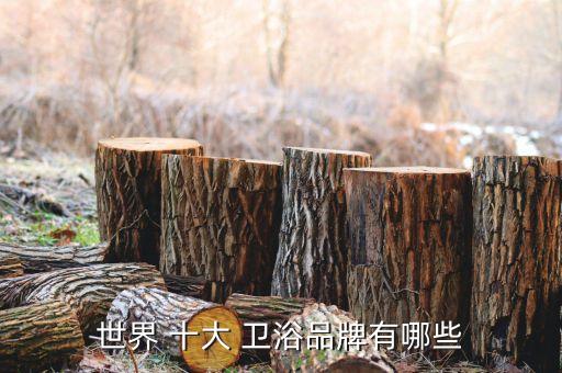 世界 十大 衛(wèi)浴品牌有哪些
