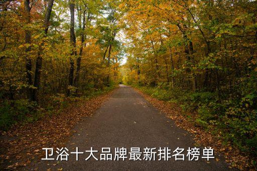 和華藝衛(wèi)浴是幾線品牌嗎