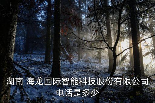 湖南 海龍國際智能科技股份有限公司電話是多少