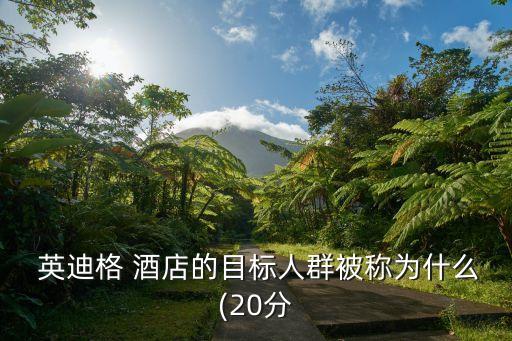  英迪格 酒店的目標(biāo)人群被稱為什么(20分