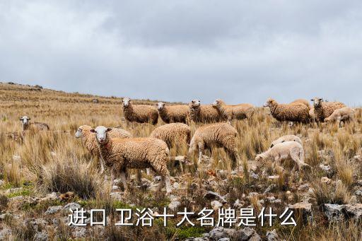  進(jìn)口 衛(wèi)浴十大名牌是什么
