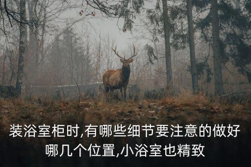 裝浴室柜時,有哪些細節(jié)要注意的做好哪幾個位置,小浴室也精致